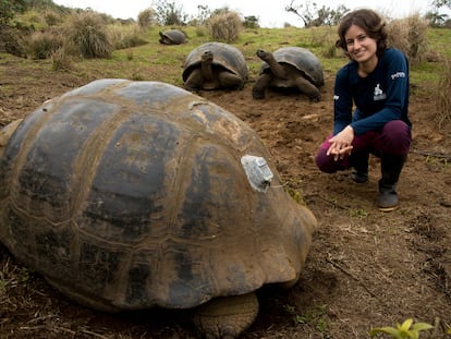 La veterinaria Ainoa Nieto posa con tres tortugas gigantes de Galápagos, donde dirige la investigación de la fundación Charles Darwin sobre estos animales.