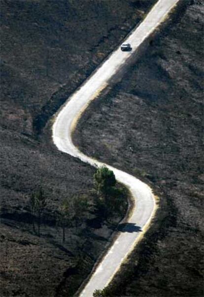 Tierra quemada a ambos lados de una carretera en Avión, Ourense.