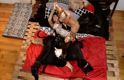 Una mujer juega con varios de sus doce perros que viven en su casa en La Fresneda, cerca de Oviedo (España), el 8 de diciembre de 2017.