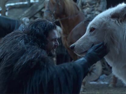 Kit Harington, in the skin of Jon Snow, greets 'Ghost', in a moment of 'Game of Thrones'.