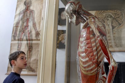 Modelo anatómico <b>clástico,</b> en papel maché, restaurado por Irene García Romera, que muestra los secretos del cuerpo humano.