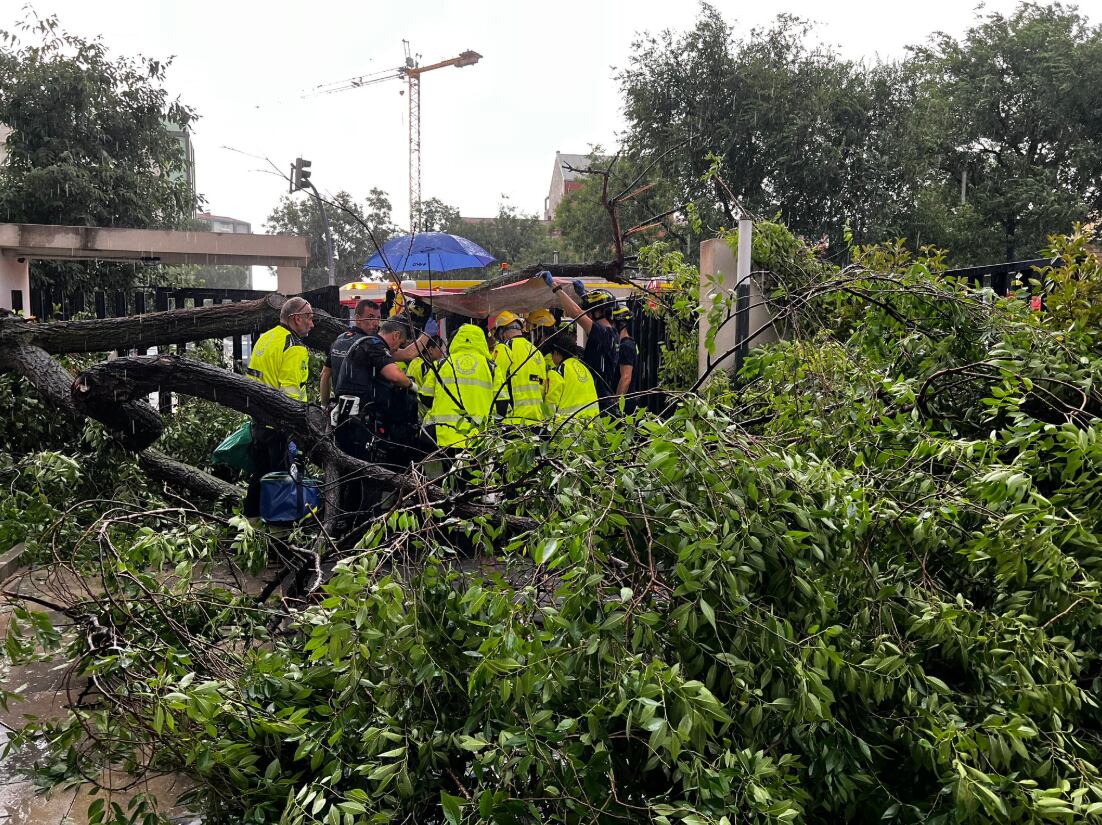 Trabajadores de emergencias atienden a la mujer herida grave por la caída de un árbol en la Avenida de Santo Ángel de la Guarda, en Madrid.