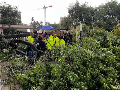 Trabajadores de emergencias atienden a la mujer herida grave por la caída de un árbol en la Avenida de Santo Ángel de la Guarda, en Madrid.