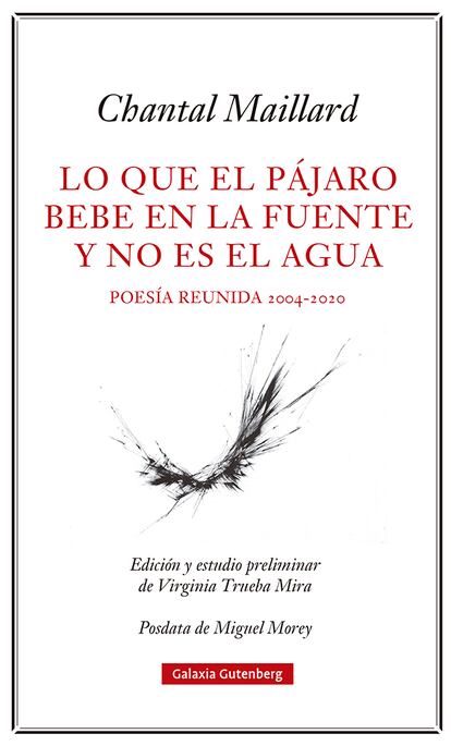 portada libro 'Lo que el pájaro bebe en la fuente y no es el agua', CHANTAL MAILLARD. EDITORIAL GALAXIA GUTENBERG