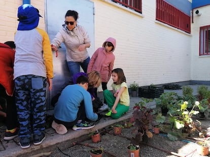 Alumnos preparando la plantación del jardín en su colegio, en Madrid.