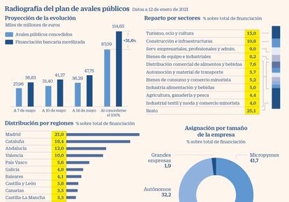 Radiografía del plan de avales públicos