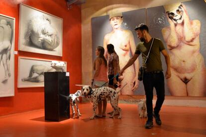 Perros en el Museo Europeo de Arte Moderno de Barcelona
