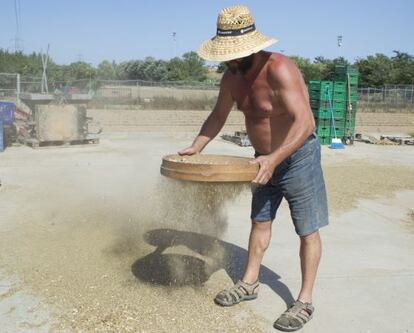 Albert Bou criba alubias en Cal Coracero, en el Parque Agrario del Baix Llobregat