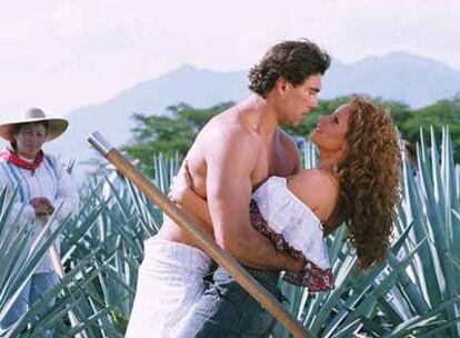 Imagen de la exitosa telenovela mexicana <i>Destilando amor</i>.