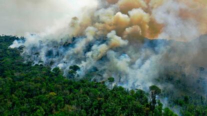 Imagem de 16 de agosto de 2020, mostra a vista aérea de uma área em chamas na reserva da floresta amazônica, ao sul de Novo Progresso no Estado do Pará.