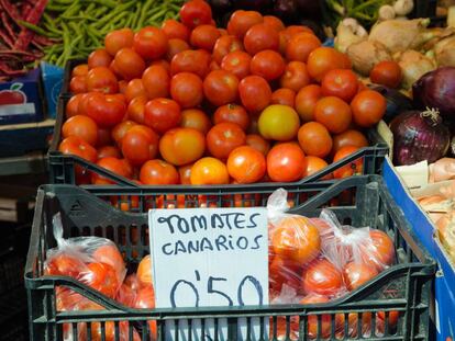 Puesto de tomates en Gran Canaria.