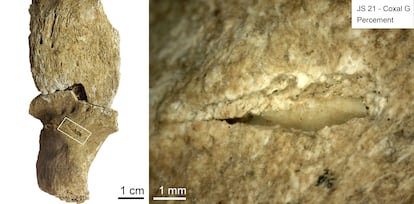 Left: a bone with a wound mark. Right: a splinter from a projectile still lodged in the bone. 