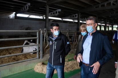 El presidente del PP de Galicia y candidato a la presidencia de la Xunta de Galicia visitan una explotación ganadera de Trazo para presentar el plan de acción rural gallego.