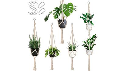 Hanging flower pots on white background