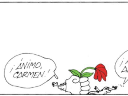PERIDIS