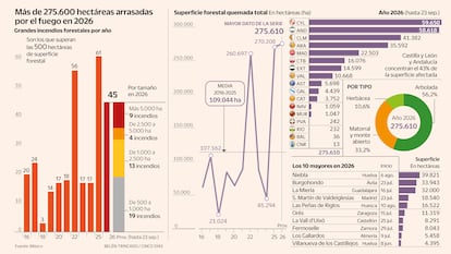 Guía para evitar prender la mecha de los megaincendios, una catástrofe también socioeconómica