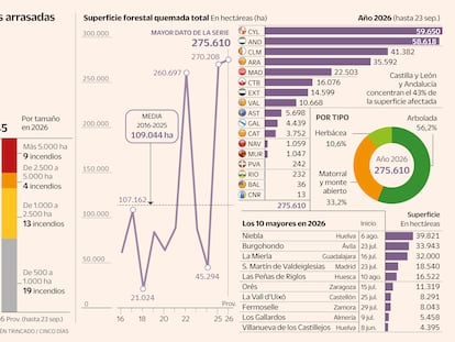 Guía para evitar prender la mecha de los megaincendios, una catástrofe también socioeconómica