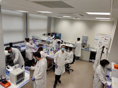 Equipo del investigador Miguel Holgado en el laboratorio de la Universidad Politécnica de Madrid.