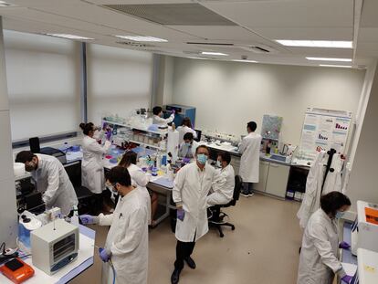 Equipo del investigador Miguel Holgado en el laboratorio de la Universidad Politécnica de Madrid.