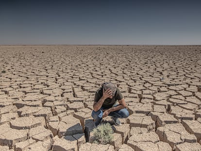 El Hamrín es un lago artificial ubicado en el este de Irak y el depósito principal de abastecimiento de agua de los municipios y aldeas de la gobernación de Diyala. Este año, los niveles han alcanzado mínimos críticos, lo que ha afectado a los agricultores, ganaderos y pescadores de toda la región.