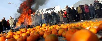 Los agricultores arrojaron y quemaron cajas de naranjas en Castelló de la Ribera para protestar por el precio de los cítricos.