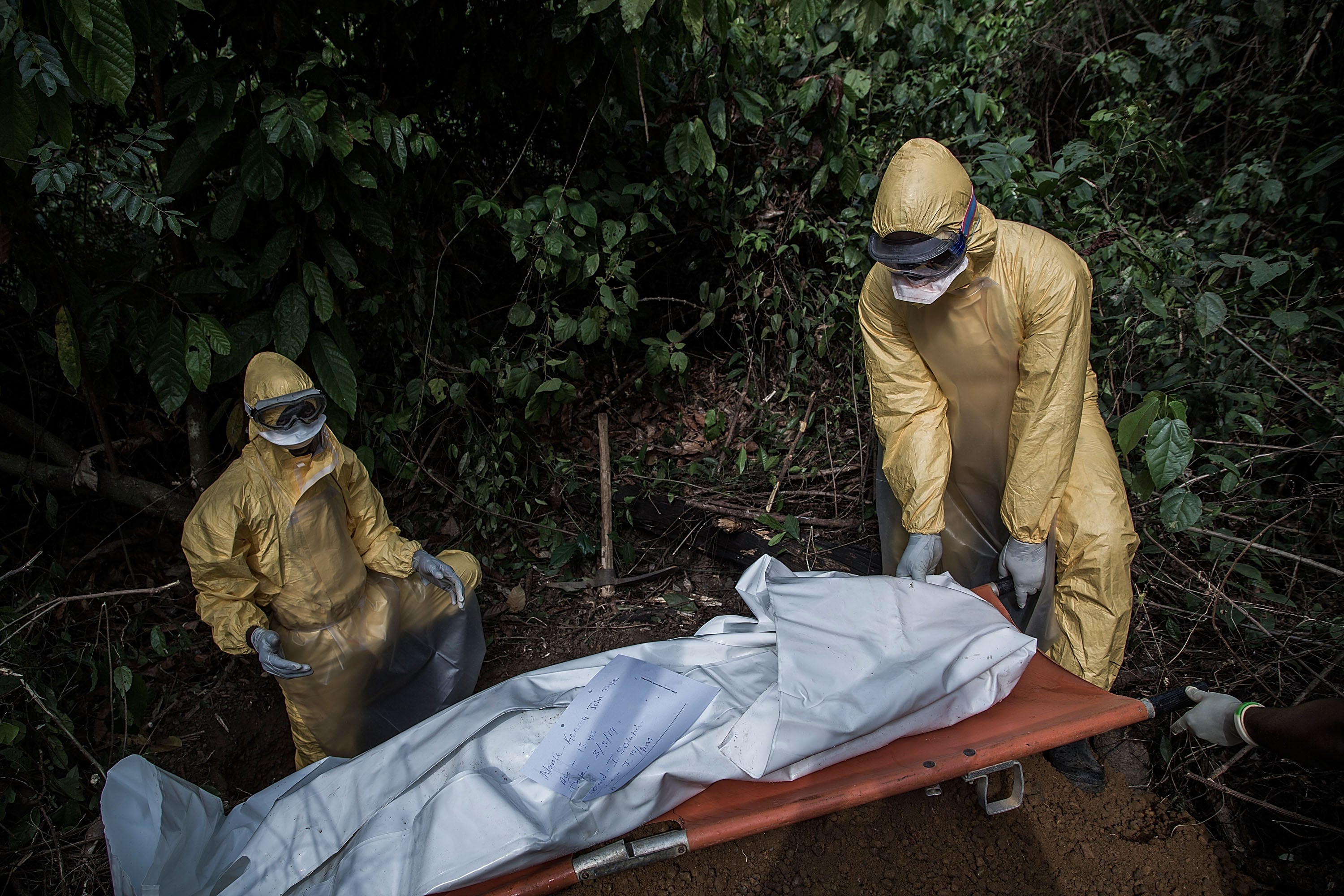La ciencia por sí sola no detendrá la fiebre de Lassa, una enfermedad grave que sigue causando muertes evitables