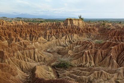 O horizonte do deserto de Tatacoa parece infinito. Situado ao norte do departamento do Huila, são 330 quilômetros quadrados de zonas áridas com escassa vegetação e rica em fósseis. Também conhecido como o ‘Vale das Tristezas’ é um bosque seco tropical pelo qual vale a pena transitar de dia ou fazer uma visita noturna para ver as estrelas. Sua proximidade com o Equador terrestre convertem-no em um local privilegiado como observatório astronômico natural.