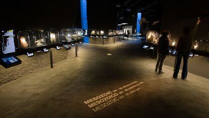 Recorrido por la nueva exposición de referencia del Museu Blau.