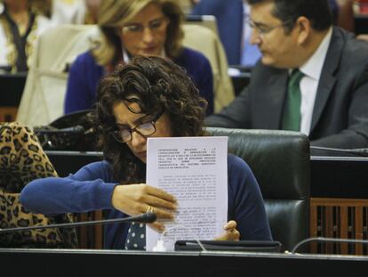 La consejera de Salud, María Jesús Montero, en un momento del pleno del Parlamento de ayer.