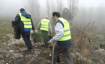 Varios vecinos, en labores de repoblación.