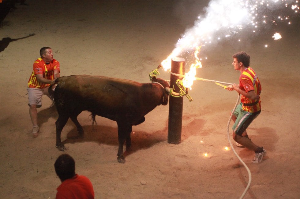 La Generalitat multa a un ‘correbou’ tras la caída de un toro atado en un canal de agua