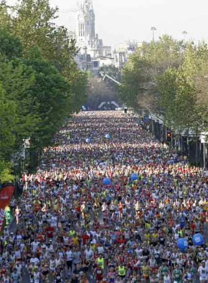 Los corredores del maratón, a su paso por el paseo del Prado.