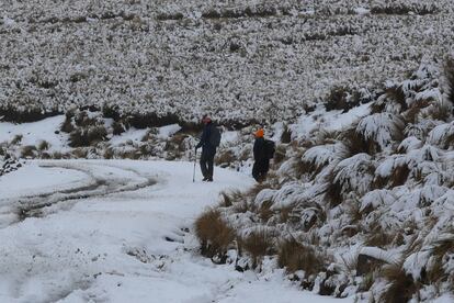 Senderistas caminan en las inmediaciones del Nevado de Toluca, el pasado 23 de diciembre.