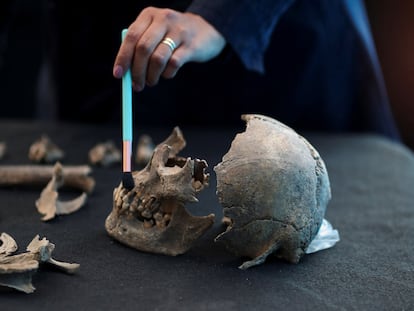 Un arqueólogo trabaja en los restos hallados en el Bosque de Chapultepec el 21 de febrero 2023