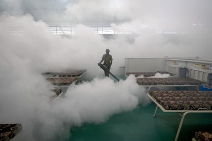 Un trabajador fumigaba este jueves un hospital como medida preventiva contra las enfermedades transmitidas por mosquitos, en Mumbai. El espacio se convertirá pronto en un centro para tratar enfermos de covid.