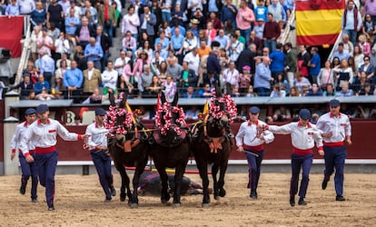 Mulilleros en un festejo de Las Ventas de mayo de 2019.