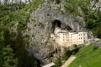 Postojna (Eslovenia). Cuando en el siglo XVII se descubrieron unos extraños tritones en la cueva de Postojna se creyó que eran crías de dragón. En realidad, son proteos, anfibios albinos endémicos de este sistema de cavernas de más de 24 kilómetros. La entrada a las cuevas está bajo el castillo de Predjama, enclavado en la roca. 