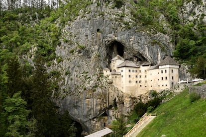 Postojna (Eslovenia). Cuando en el siglo XVII se descubrieron unos extraños tritones en la cueva de Postojna se creyó que eran crías de dragón. En realidad, son proteos, anfibios albinos endémicos de este sistema de cavernas de más de 24 kilómetros. La entrada a las cuevas está bajo el castillo de Predjama, enclavado en la roca.