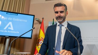 El consejero de Sostenibilidad, Medio Ambiente y Economía Azul, Ramón Fernández Pacheco, durante la conferencia de prensa posterior al Consejo de Gobierno andaluz, este martes en Sevilla.