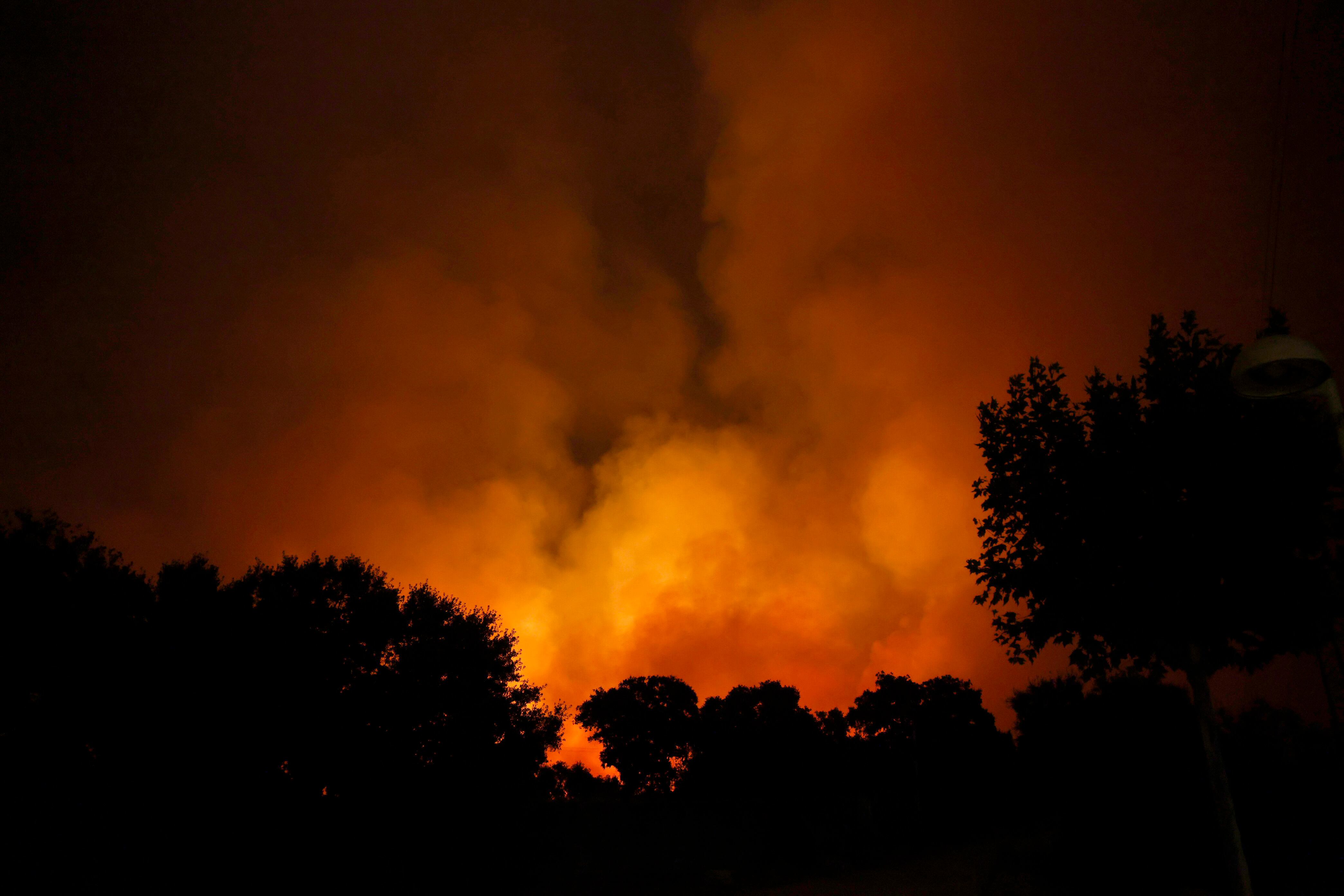 El incendio en Tres Cantos (Madrid), en imágenes