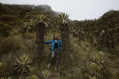 Parque Natural Colombia