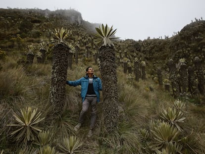 Un hombre en el parque nacional natural Los Nevados, en Tolima (Colombia).