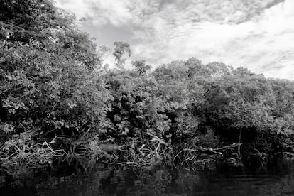 Afluente del río Vichada, Colombia, diciembre de 2023.