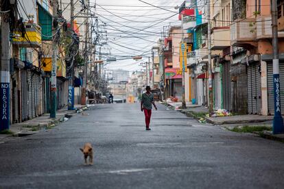 Un hombre y un perro en una calle de Santo Domingo, el 12 de abril