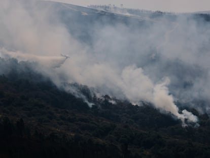 A seaplane drops water on a forest fire in Maceda, northwestern Spain, Wednesday, Aug. 13, 2025. (AP Photo/Lalo Villar)