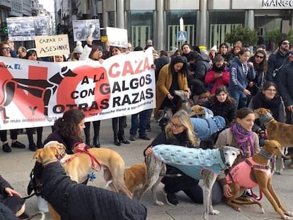 Manifestación con galgos en A Coruña.
