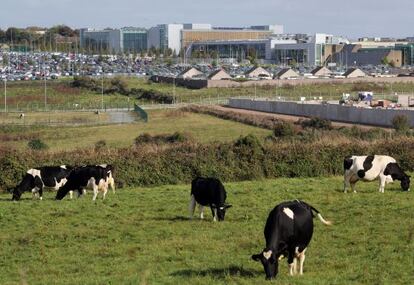 Al fons, instal·lacions d'Apple a Cork (Irlanda), en una imatge de l'octubre del 2014.