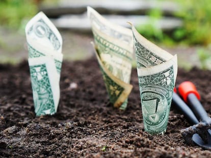 ¿Tasas de interés o desarrollo sostenible?