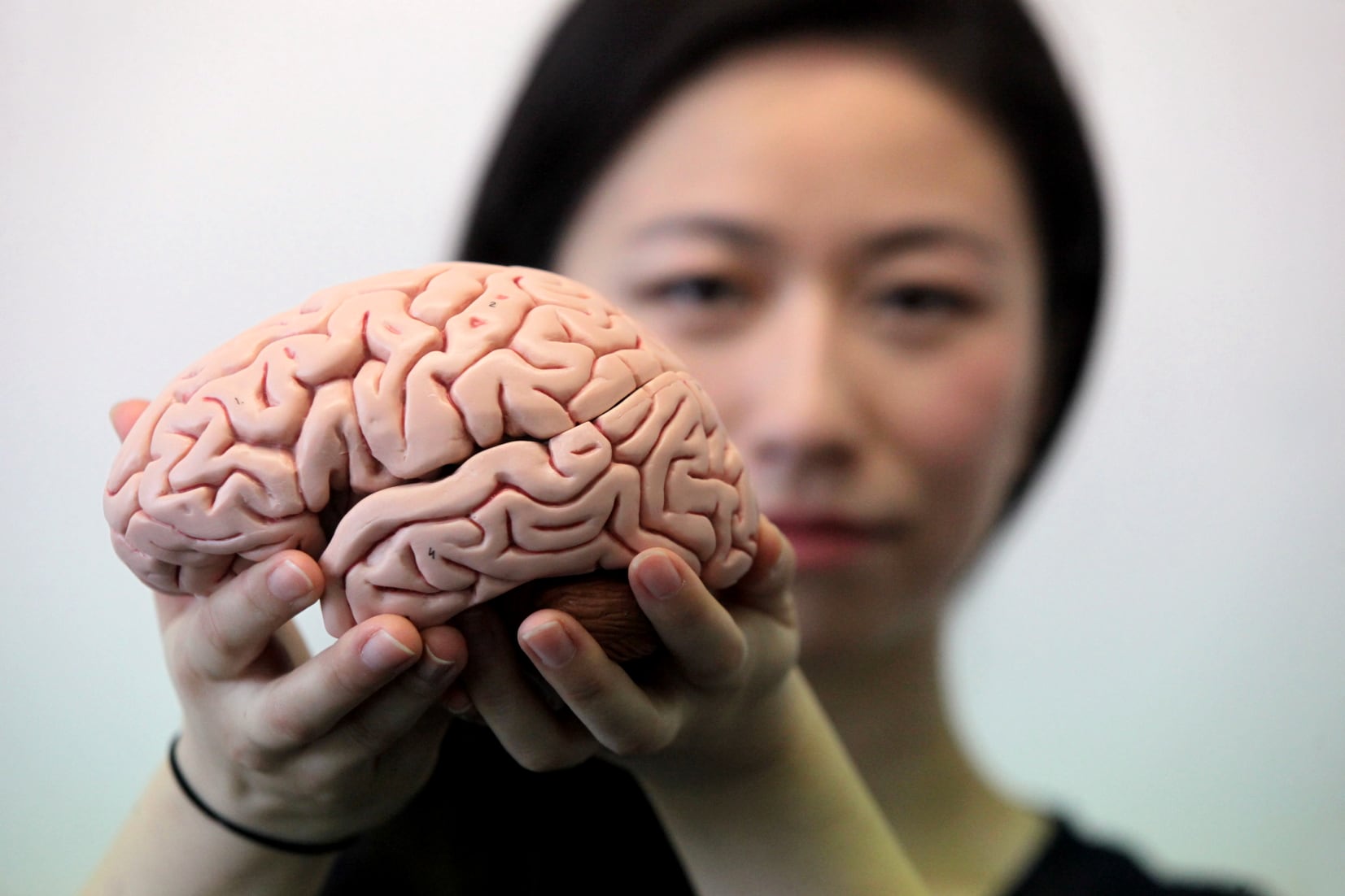 Les âges du cerveau : l'atlas le plus détaillé du cortex préfrontal révèle comment il change et vieillit tout au long de la vie