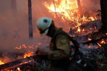 Un bombero trabaja en el incendio Park Fire, en Lomo, California, el 28 de julio.